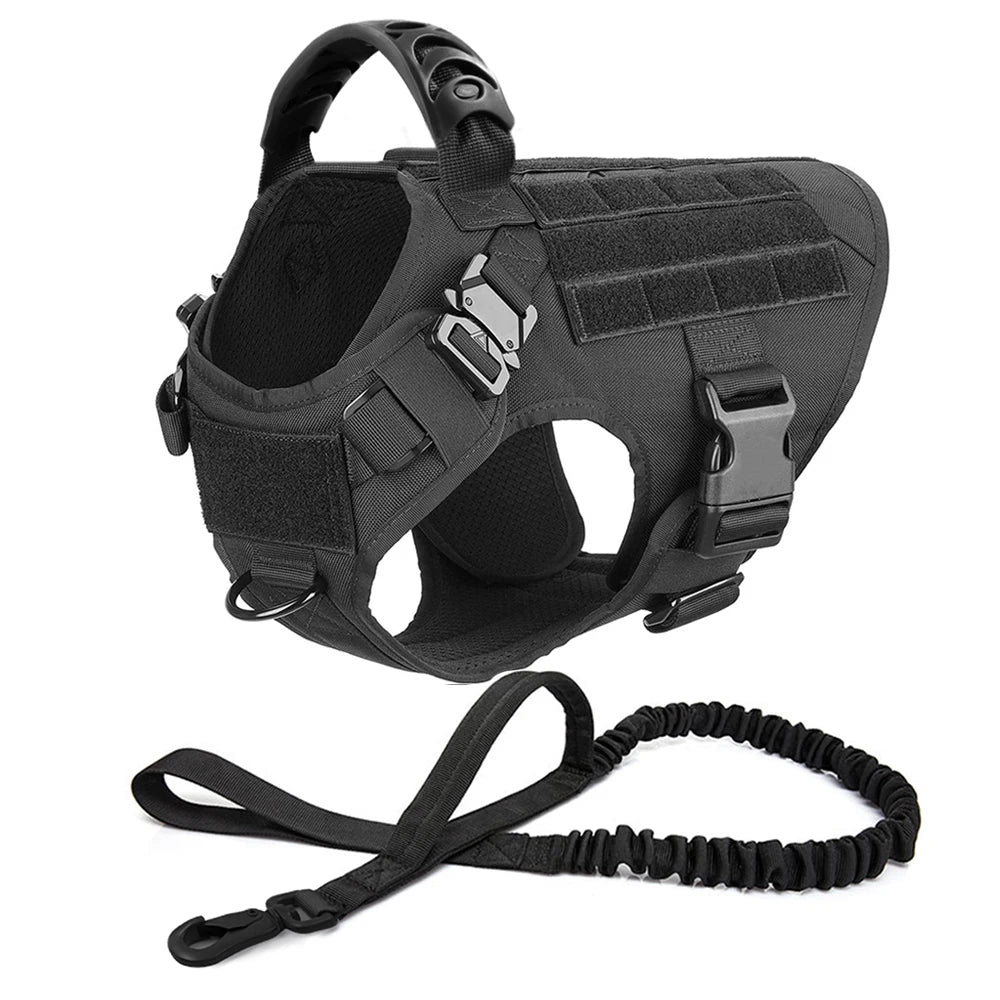 Large Dog Harness And Leash Set For Training And Walking