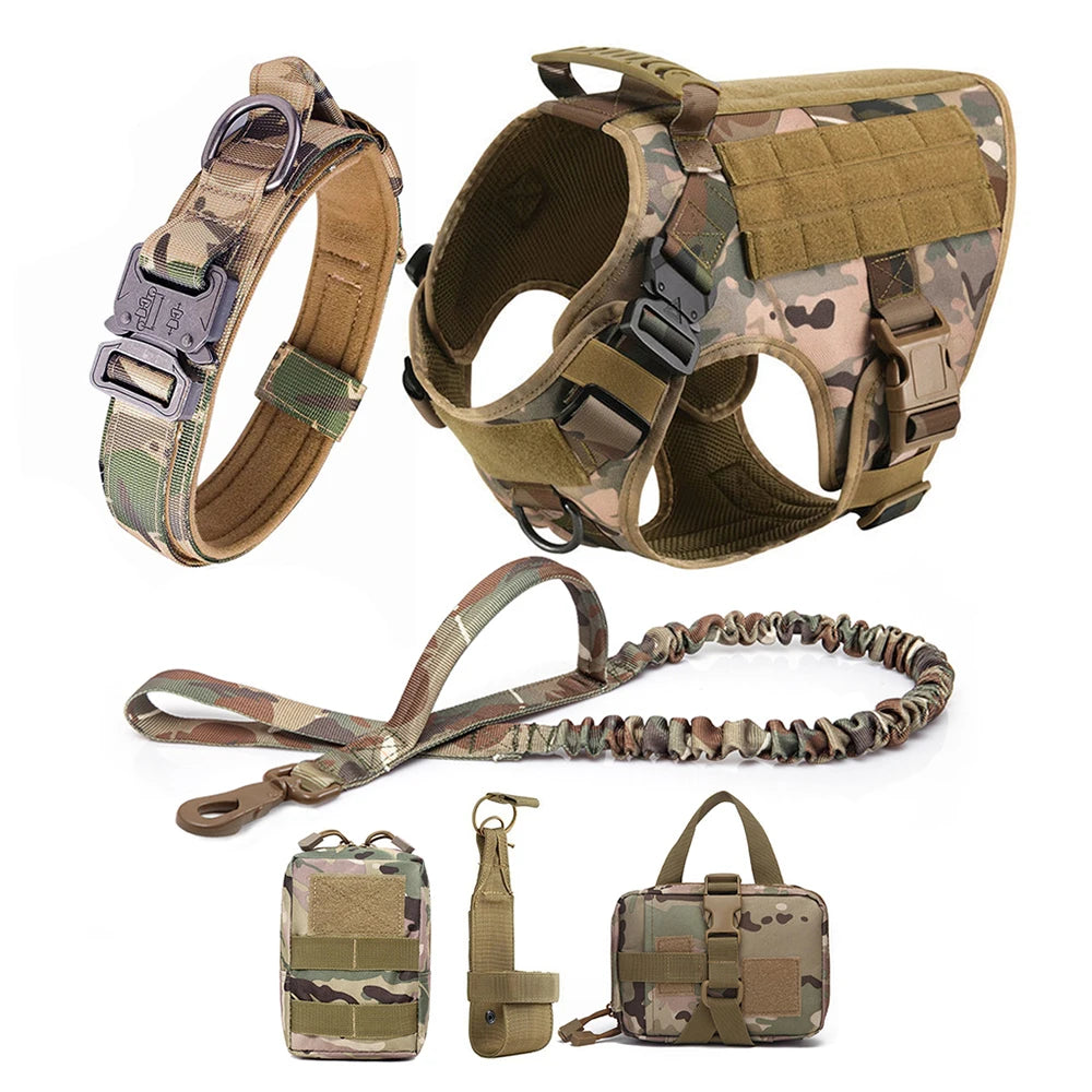 Large Dog Harness And Leash Set For Training And Walking