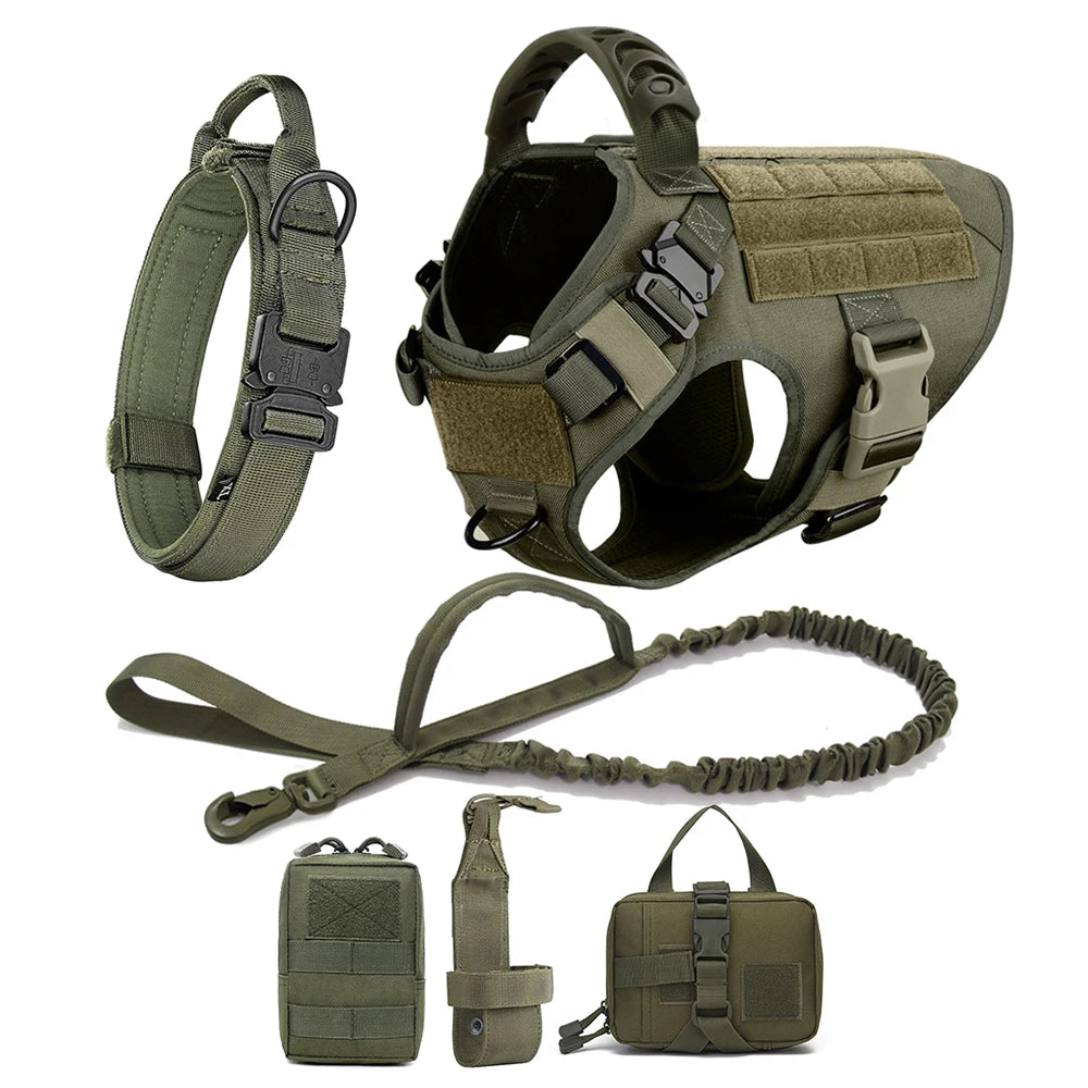Large Dog Harness And Leash Set For Training And Walking