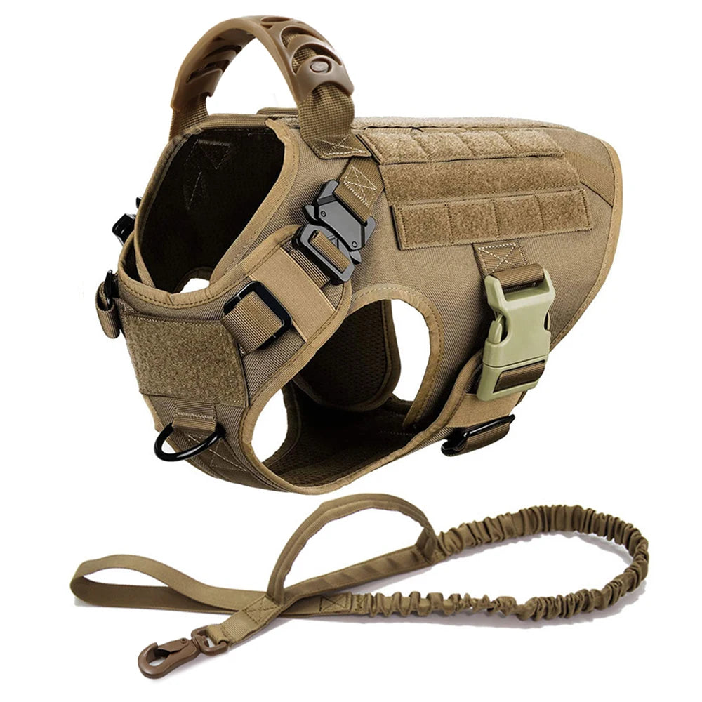 Large Dog Harness And Leash Set For Training And Walking