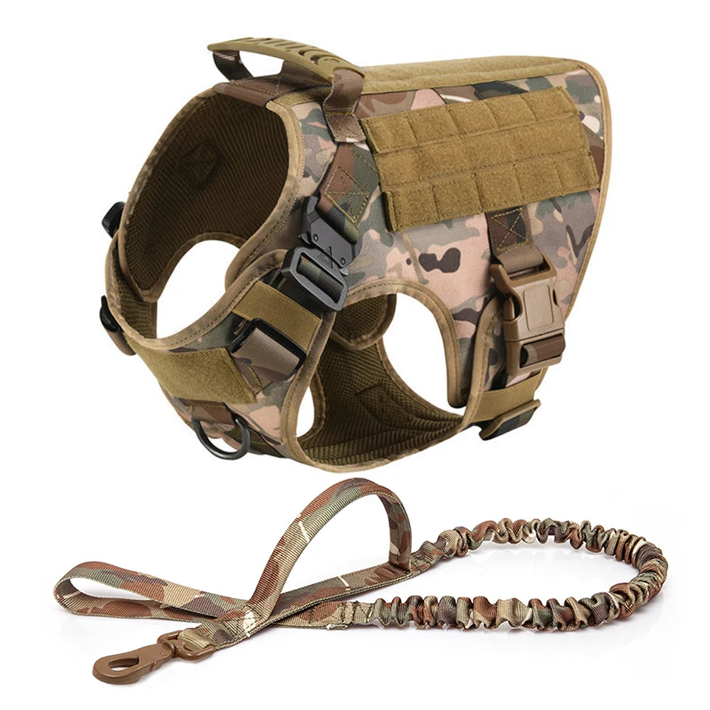 Large Dog Harness And Leash Set For Training And Walking