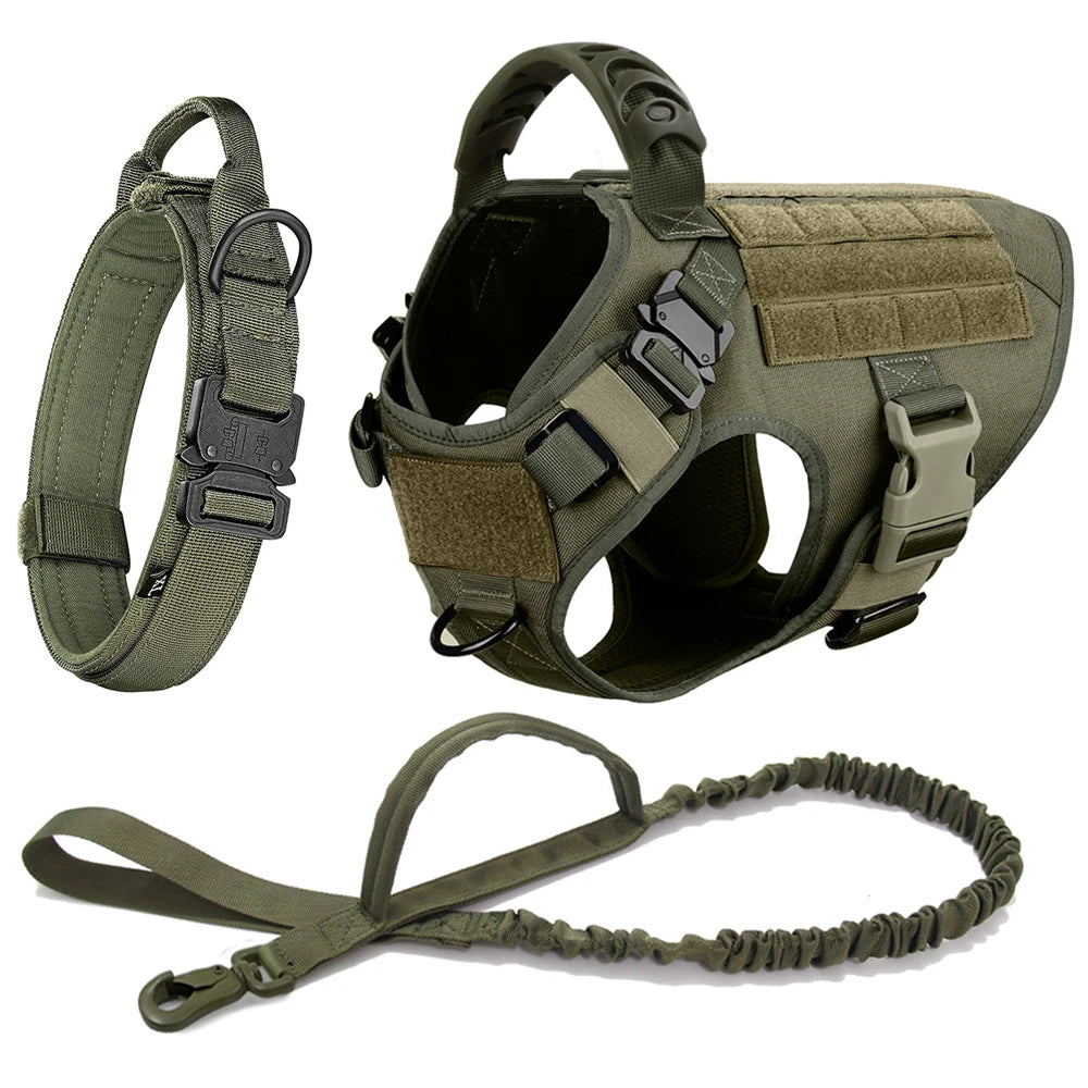 Large Dog Harness And Leash Set For Training And Walking
